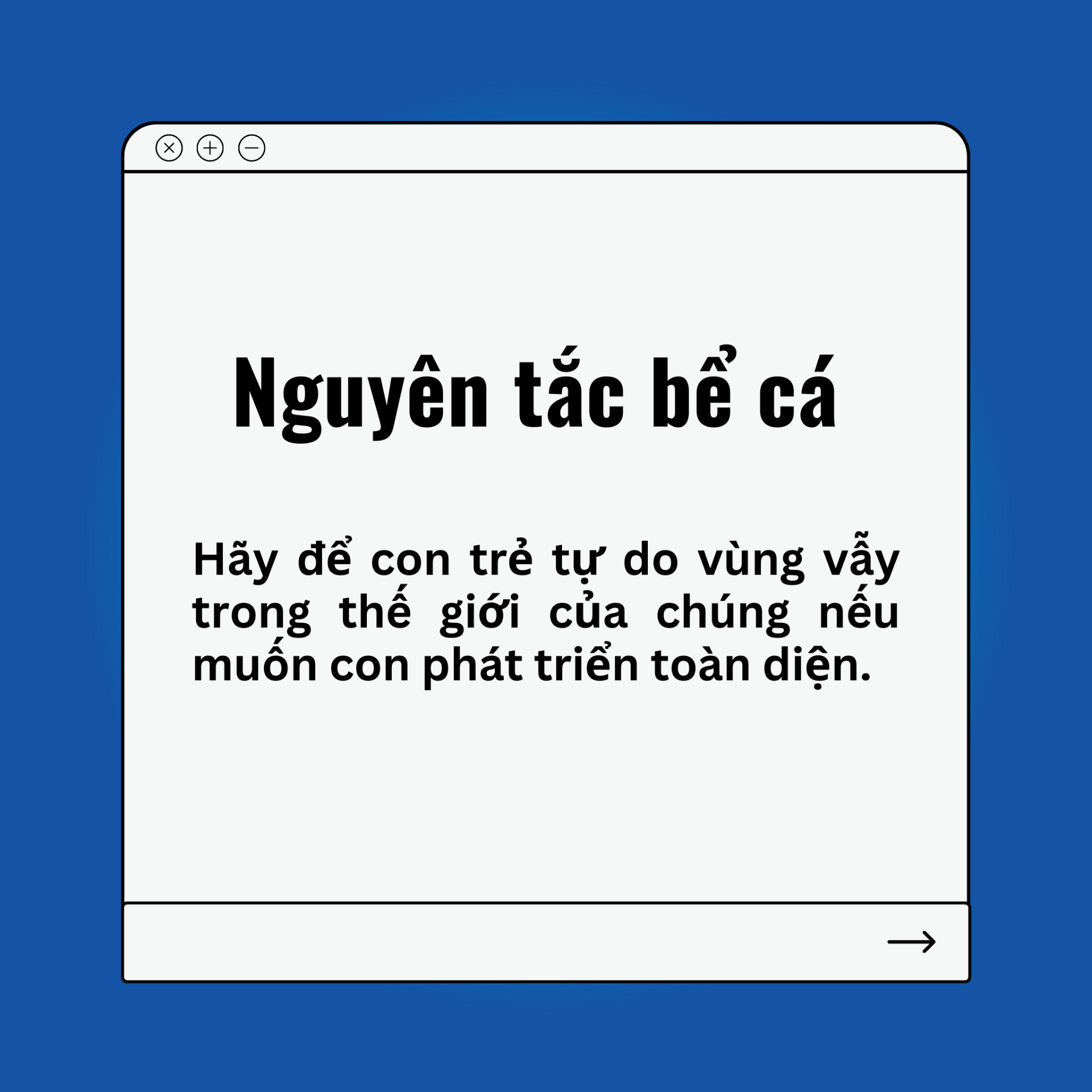 Nguyên tắc bể cá